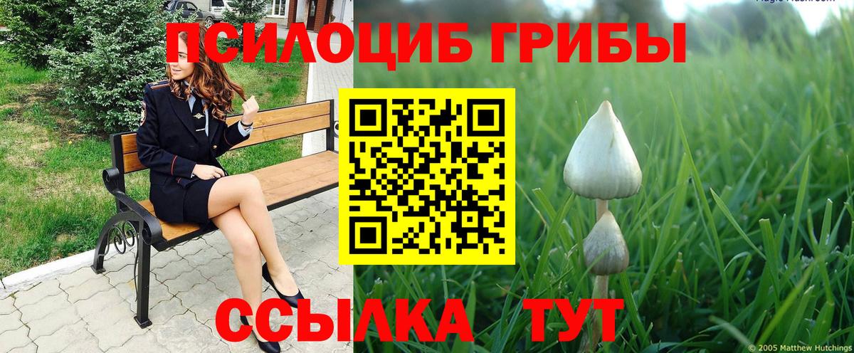 Псилоцибиновые грибы Magic Shrooms Ирбит