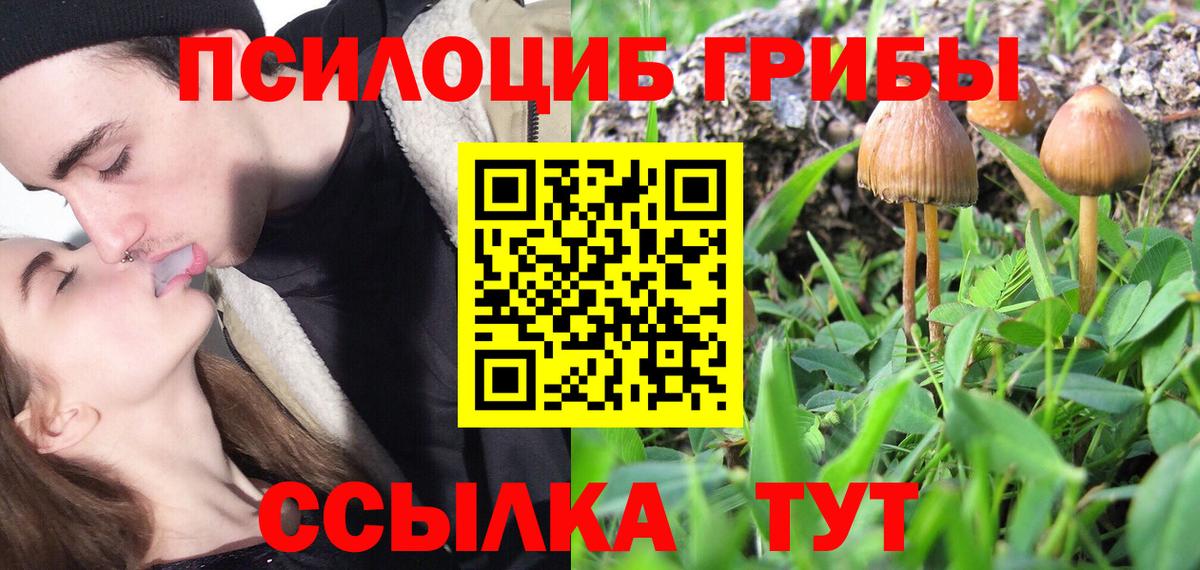 Ирбит  Вход с VPN  Codein  Меф МЯУ МЯУ кристаллы  COCAIN  Гашиш  А ПВП СК   МДМА 