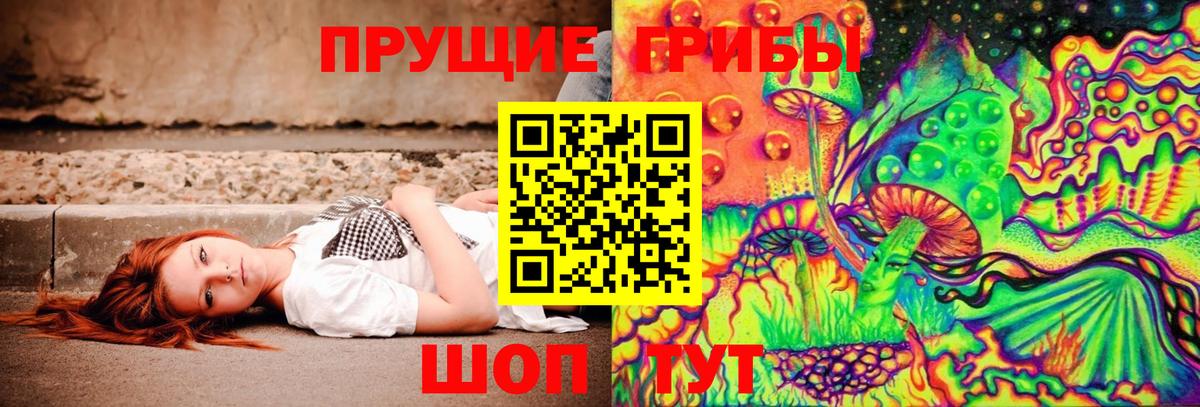 Псилоцибиновые грибы Psilocybine cubensis  Вход с VPN  Ирбит 